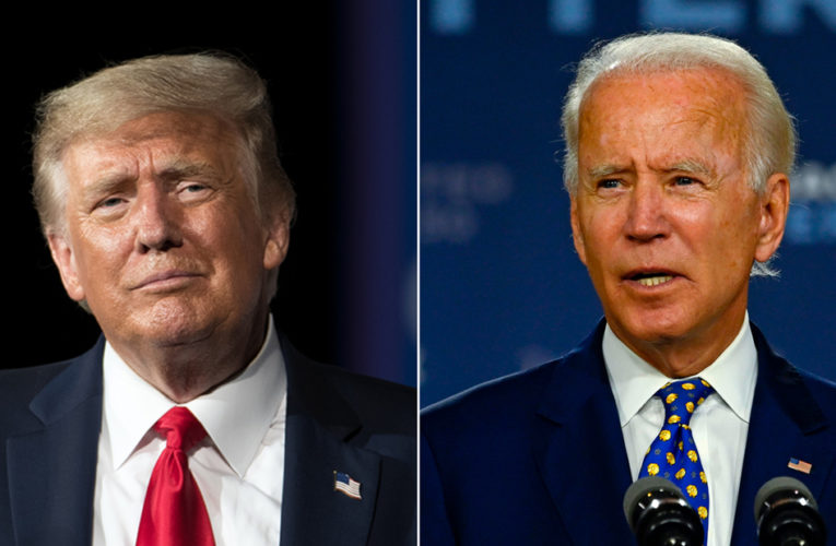 Check out the latest 2020 election polls