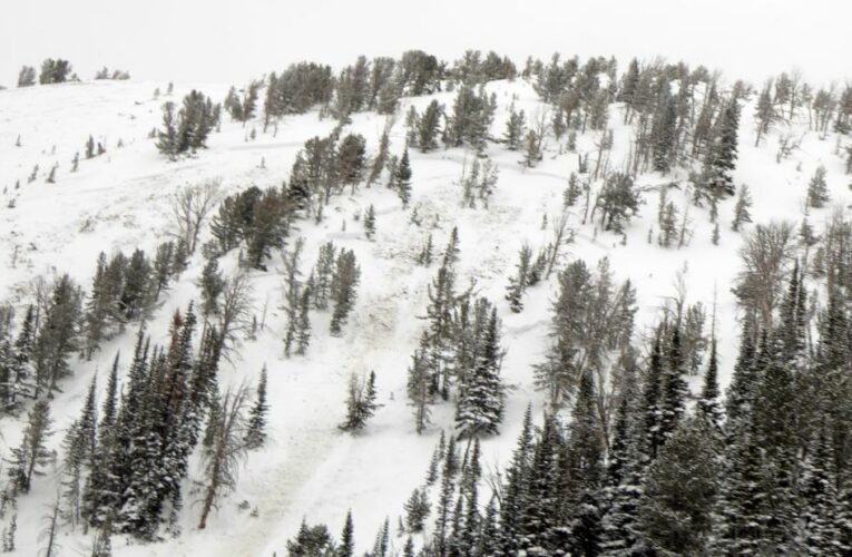 It’s the US’ deadliest avalanche season in years. Experts say Covid is partially to blame