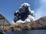 Victims’ families to sue Royal Caribbean cruises over New Zealand White Island volcano tragedy 