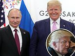Insiders compare Donald Trump’s private calls with Vladimir Putin to ‘two guys in a steam bath’