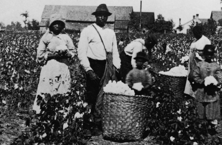 From the US Capitol to the alcohol Americans consume, here are seven things you probably didn’t know were connected to slavery