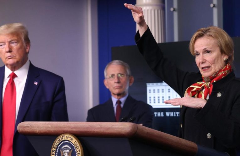 ‘Nobody likes me’: Trump ponders pandemic popularity of Fauci and Birx