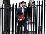 Mini-budget 2020: Rishi Sunak aims to avert coronavirus ruin
