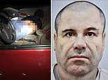 Cartel members hunt killer who shot El Chapo’s nephew, 45