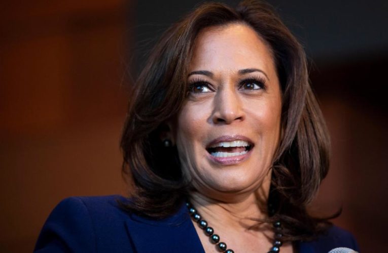 Trump responded by rolling out a scattered, kitchen-sink-style list of criticisms of the senator from California during his news conference