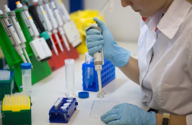 Vladimir Putin says Russia has approved ‘world first’ virus vaccine. But questions over its safety remain