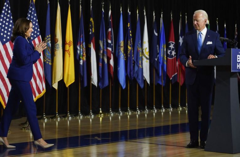 The Harris-Biden announcement exemplified the haunting emptiness of the most joyless election campaign in generations