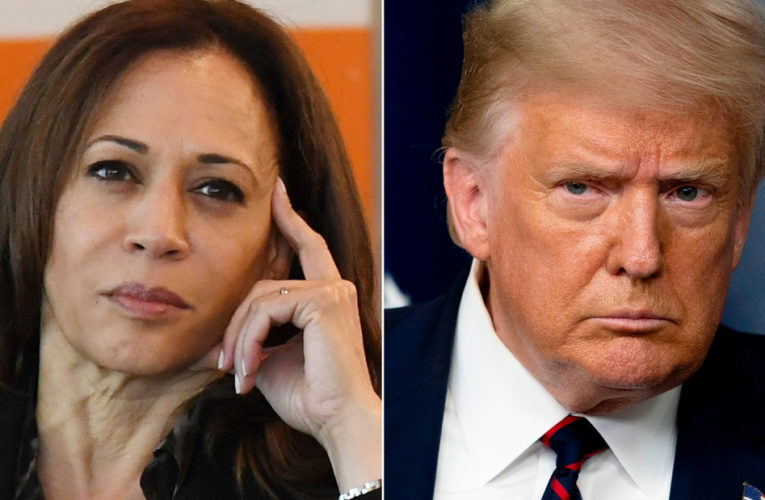 The presumptive Democratic VP nominee says Trump and his campaign will ‘engage in lies’ and ‘deception’ after he floated a new conspiracy about her eligibility