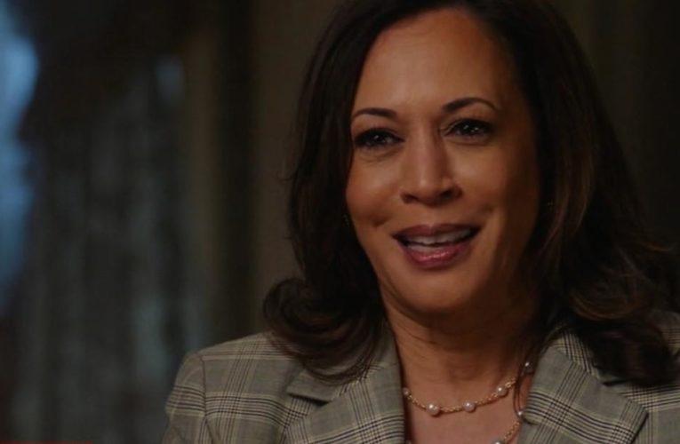 See Kamala Harris’ reaction after Trump called her ‘nasty’