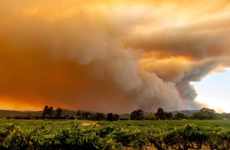 A California firefighter was robbed as he battled a blaze in Santa Cruz