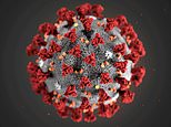 Coronavirus: Increased mutation ‘may be a GOOD thing’, expert says