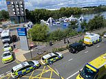 Essex Police find body of missing boy, 15, last seen in the lake near Lakeside Shopping Centre