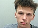 Lindsay Birbeck’s teenage killer, 17, is unmasked as traveller named after boxer Rocky Marciano