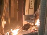 Portland Government office set on fire after 200 strong mob smash windows