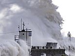 Flood fears and ‘dangerous sea conditions’ as Storm Ellen’s 70mph gales stir up the high tide