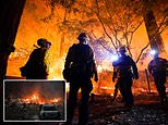 California wildfire grows to second largest in state history as 500 blazes scorched 1 MILLION acres