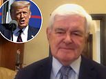 Former House Speaker Newt Gingrich tips President Trump for landslide victory over Biden in November