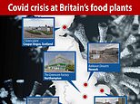 Covid crisis at Britain’s food plants: 75 staff test positive at chicken factory in Norfolk