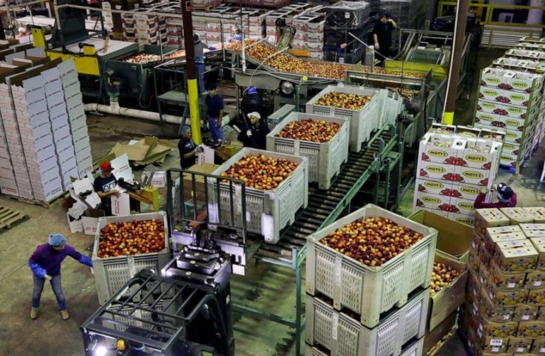 US producer prices up 0.6% in July, biggest jump since 2018