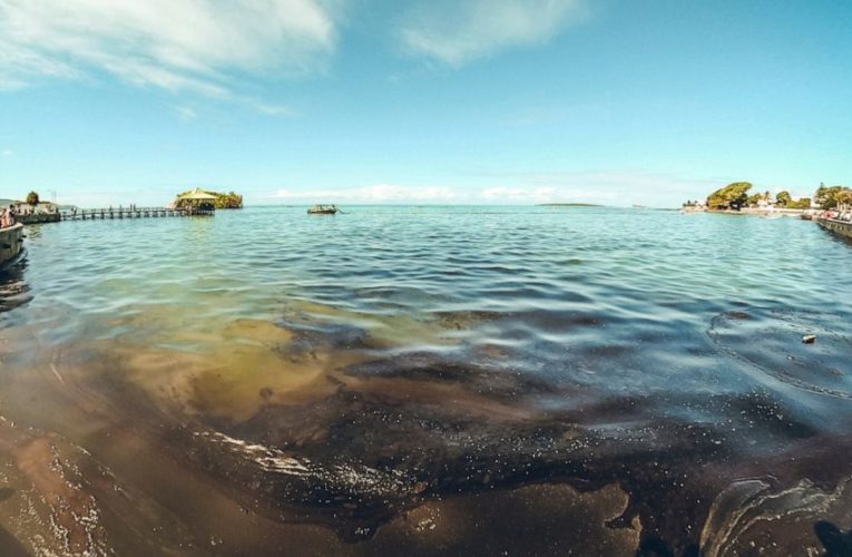Mauritius scrambles to counter oil spill from grounded ship