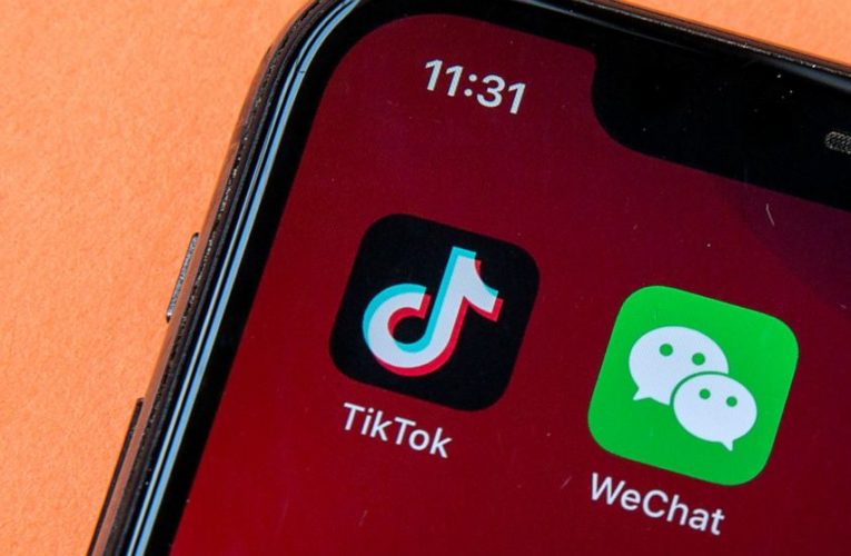TikTok and its employees prepare to fight Trump over app ban