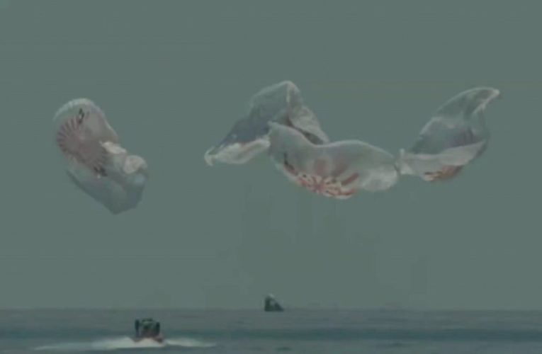 SpaceX capsule and NASA crew make 1st splashdown in 45 years