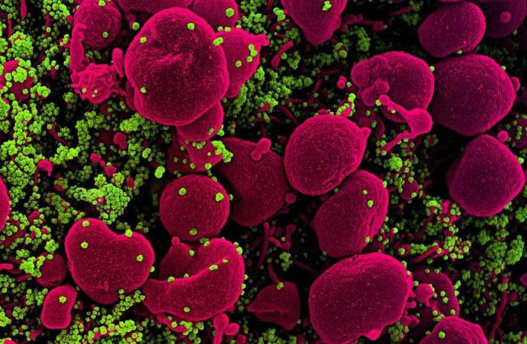 CDC removes references to airborne transmission it had posted just days earlier, saying it was ‘posted in error’