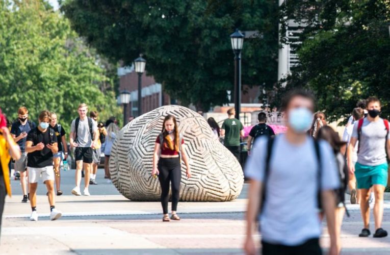 A White House task force report warns of dire new case increases across rural and urban areas of the state and calls for a mask mandate