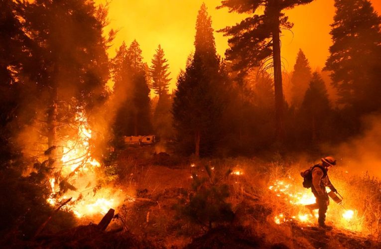 In photos: Wildfires burning in the West