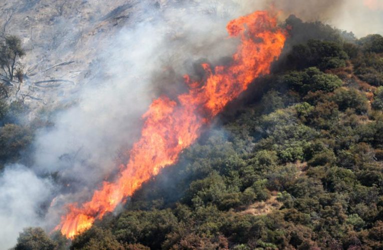 Multiple fires are ablaze in California, and one of the them was ignited by a pyrotechnic device at a gender reveal party and grew to 7,000 acres