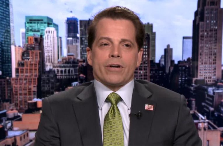 Scaramucci on Trump: He’ll get annihilated in November
