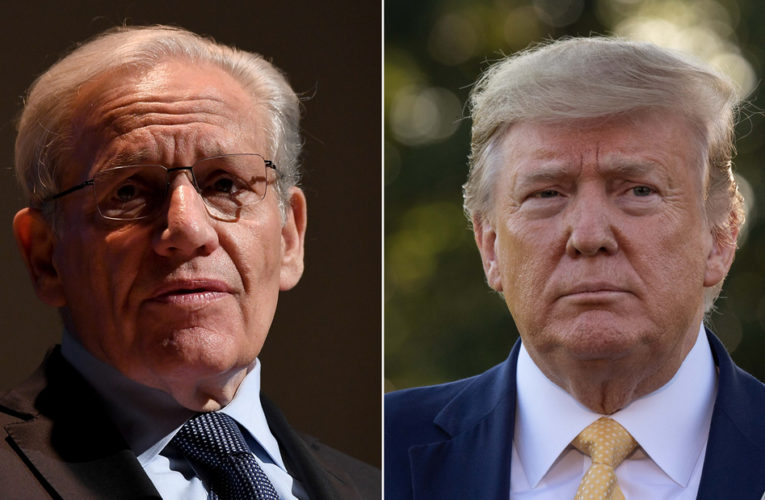What Trump said in his last call to Woodward