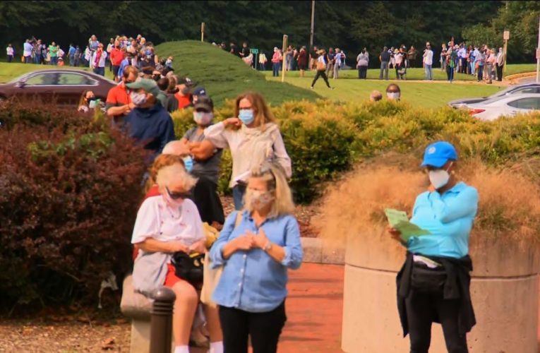 See massive turnout for early voting despite pandemic