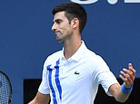 Novak Djokovic DISQUALIFIED from US Open for hitting a ball at a line judge as world No 1 fumes