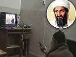 Osama bin Laden may have hidden messages in porn videos to secretly communicate with associates