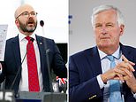 Leading Swedish MEP CHARLIE WEIMERS reveals why he is fed up with Monsieur Barnier