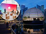 Apple’s new floating store in Singapore has underwater boardroom