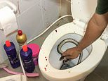 Thai man is bitten on the penis by a python while sitting on the toilet