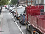 MARK EDMONDS: Eco-obsessed councils spend YOUR money to shut roads across Britain