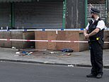 Woman shot outside shop in Maida Vale as police set up cordon around blood-stained crime scene