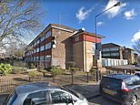 Man, 60, is stabbed to death in north London