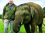 SIR DAVID ATTENBOROUGH reveals how those born today could witness sixth mass extinction