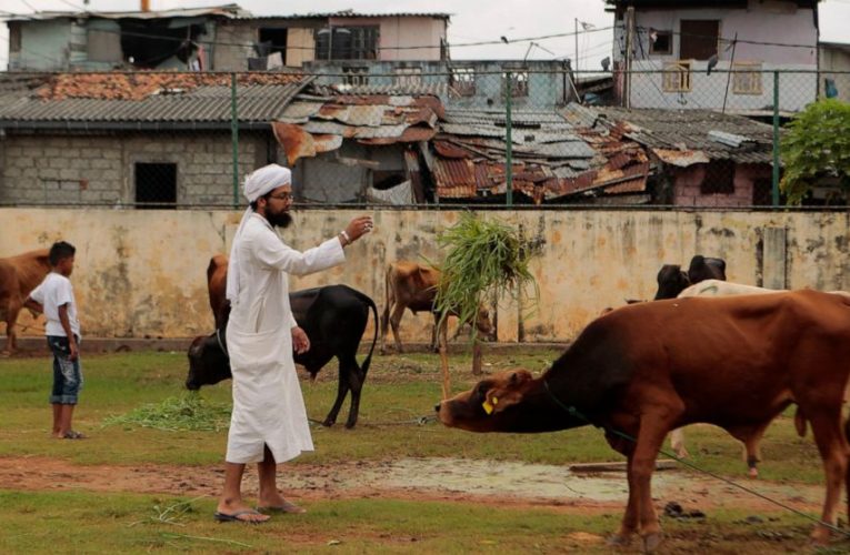 Sri Lanka government decides to ban cattle slaughter