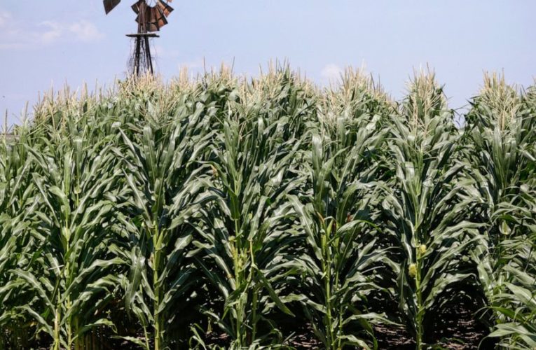 USDA plans additional $14B for farmers reeling from virus