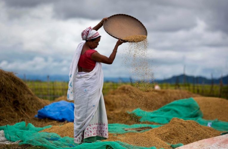 Indian lawmakers pass farm bills amid uproar in Parliament