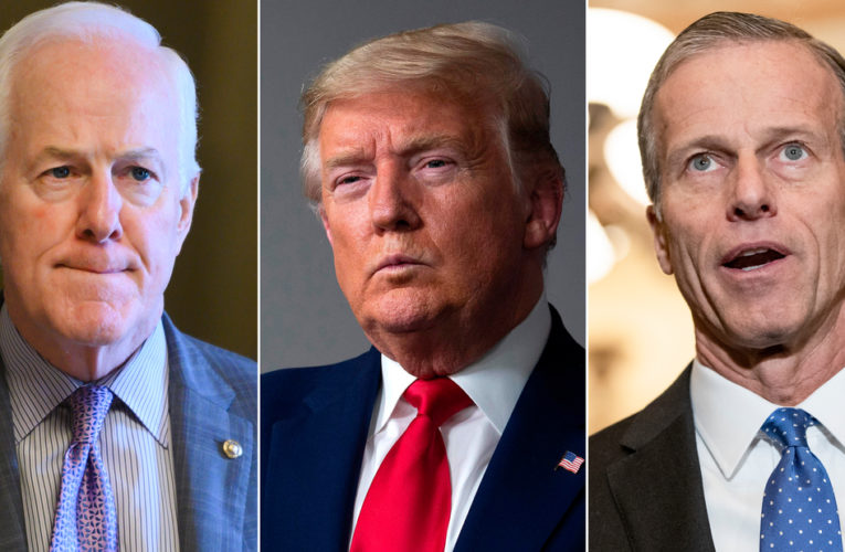 With just two weeks until Election Day, Republicans are beginning to ponder what comes next after President Trump’s reign in Washington ends