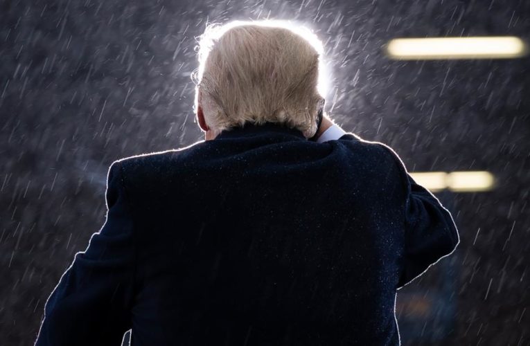 Has President Trump delivered on any of his 2016 campaign promises?