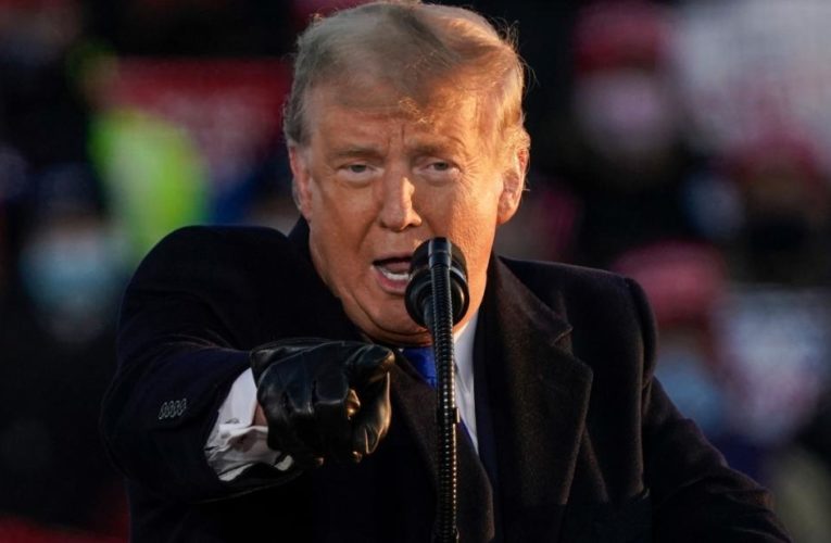 Analysis: Trump sells an alternative reality to win him reelection