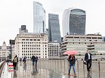 Chairman of Ocado STUART ROSE: Stop scaring us into an economic abyss