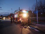 Five people are killed in mid-air crash involving two tourist planes in France